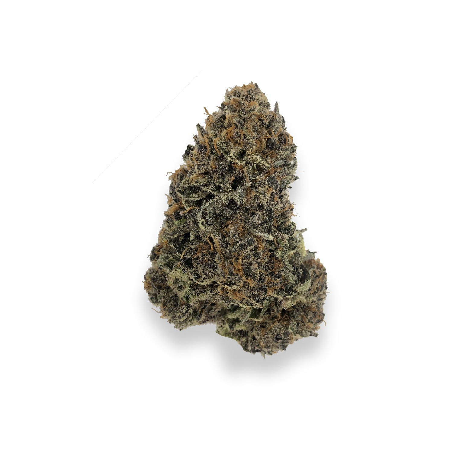 Featured image for “Humble Pie Strain”