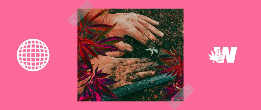 Hemp Farms Industrial Review