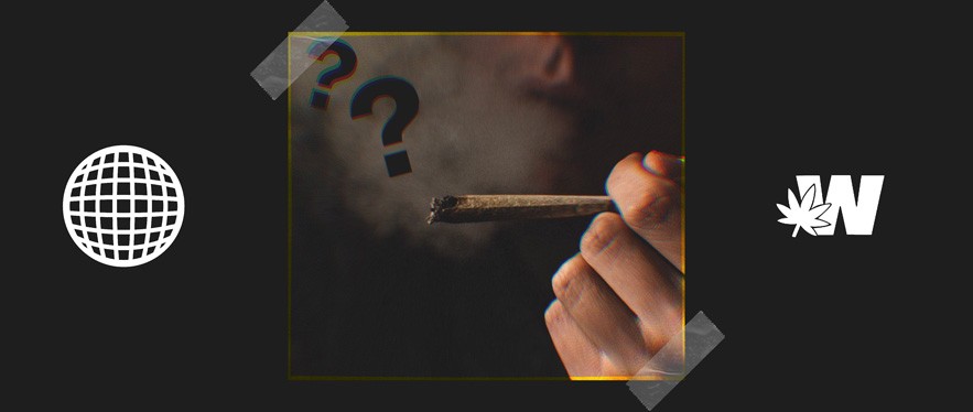 Cannabis - Drug or Not?