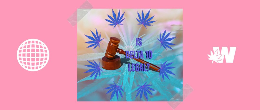 Delta 10 Weed Legality