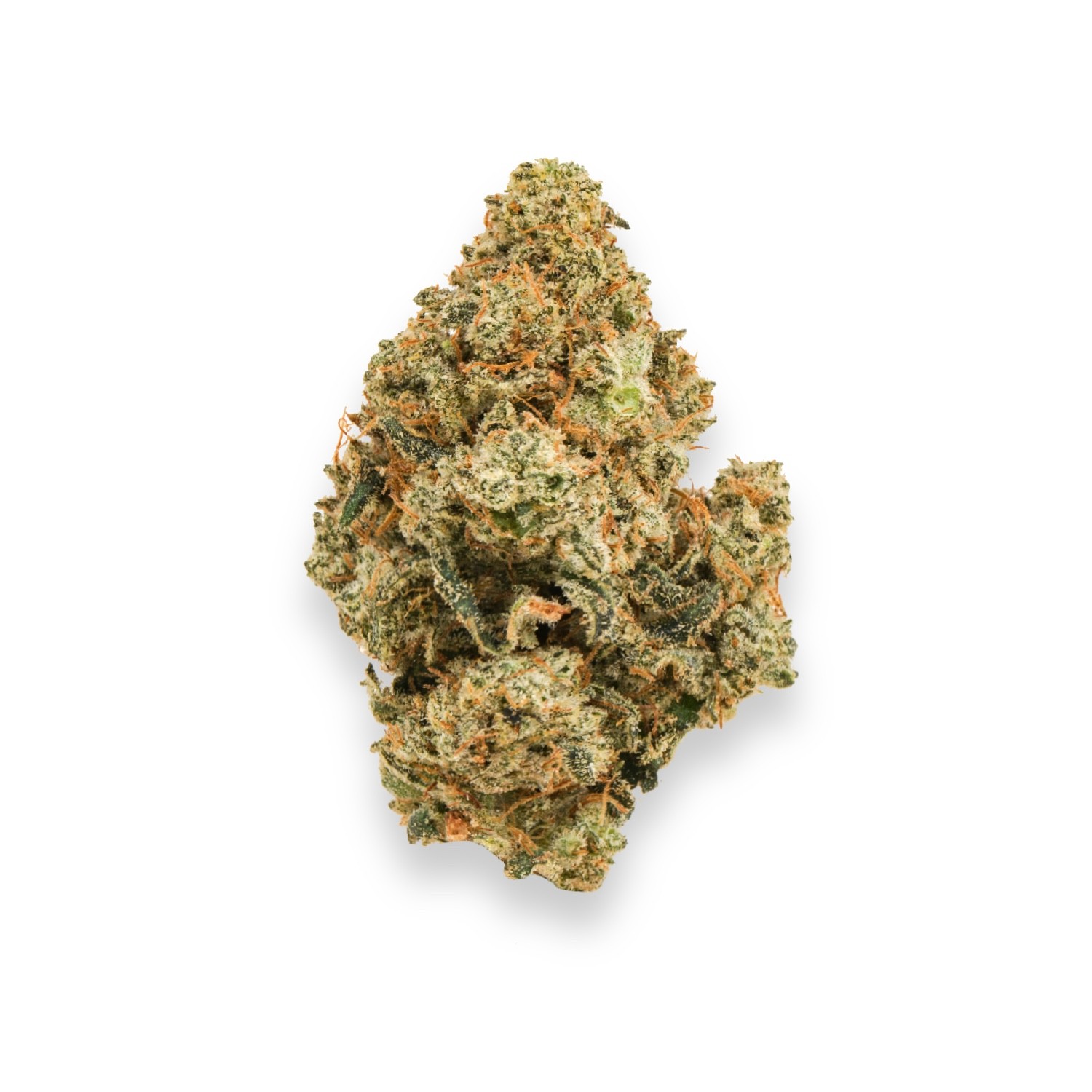 Featured image for “Jack Herer Strain”