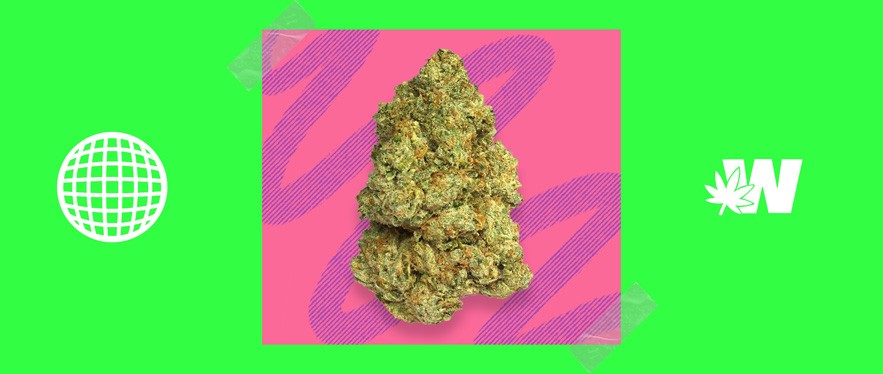 Featured image for “Jet Fuel Strain”