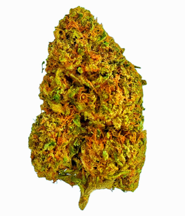 Lemon_Octane_Pic__58379.1704391461