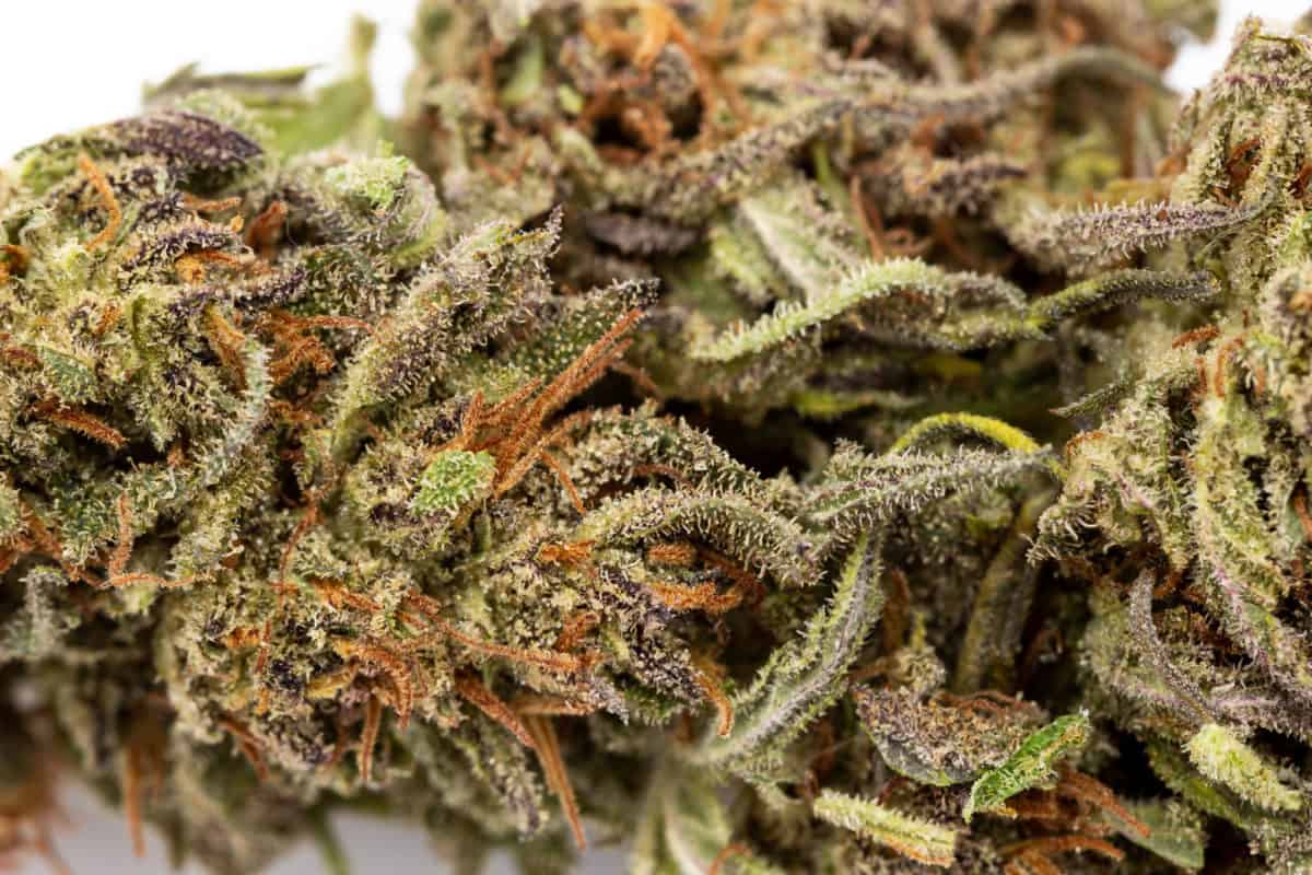 Industrial Hemp Farms CBD Flower Review