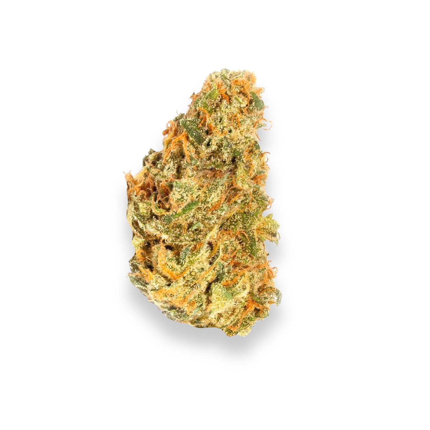 Featured image for “Mango Sherbert Strain”