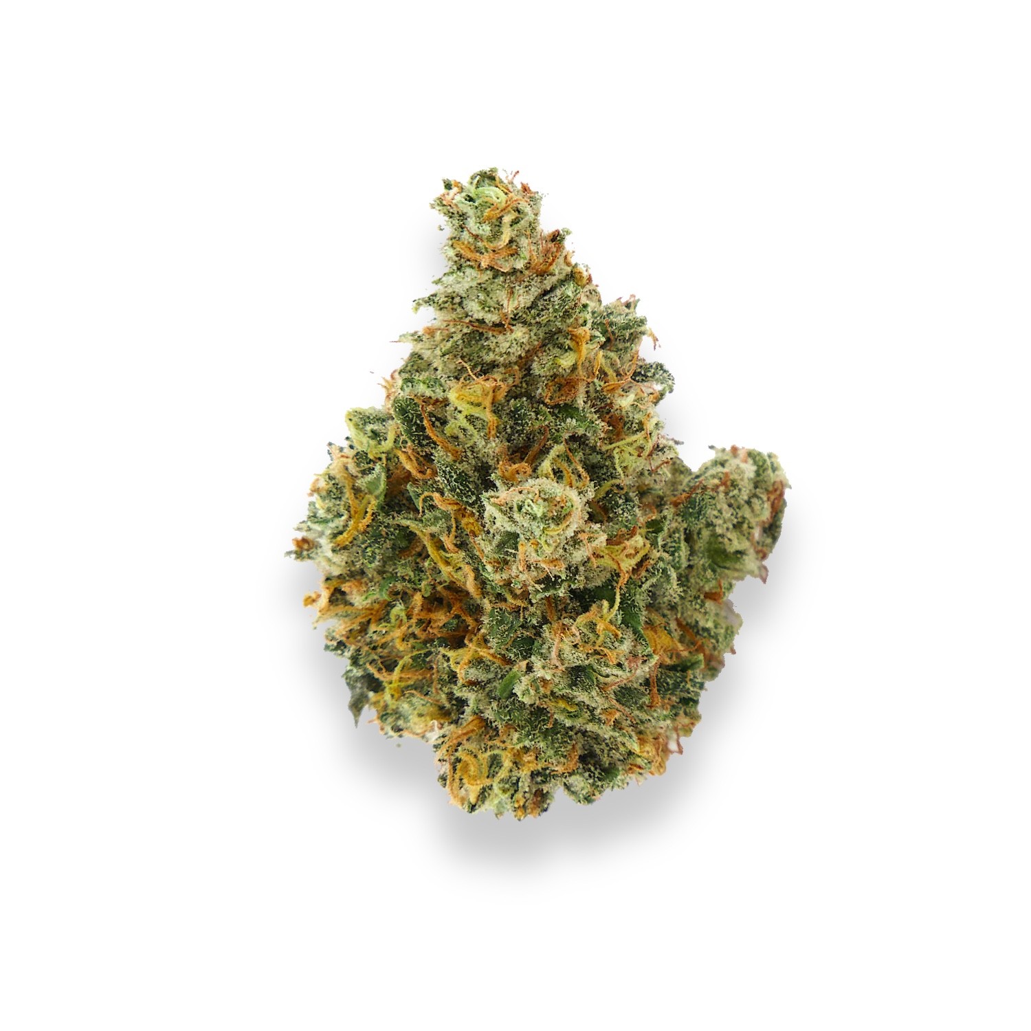 Featured image for “Meltdown Strain”