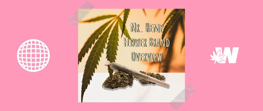 Review Mr Hemp Flower