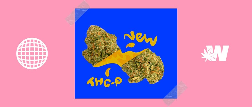 Exploring THC-P: The New Cannabinoid Making Waves in the Hemp Scene 1 THC-P What is Tetrahydrocannabiphorol,