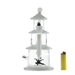 NinjaXLFront_2c666b2f-643f-4192-b234-febdd1fab4a5