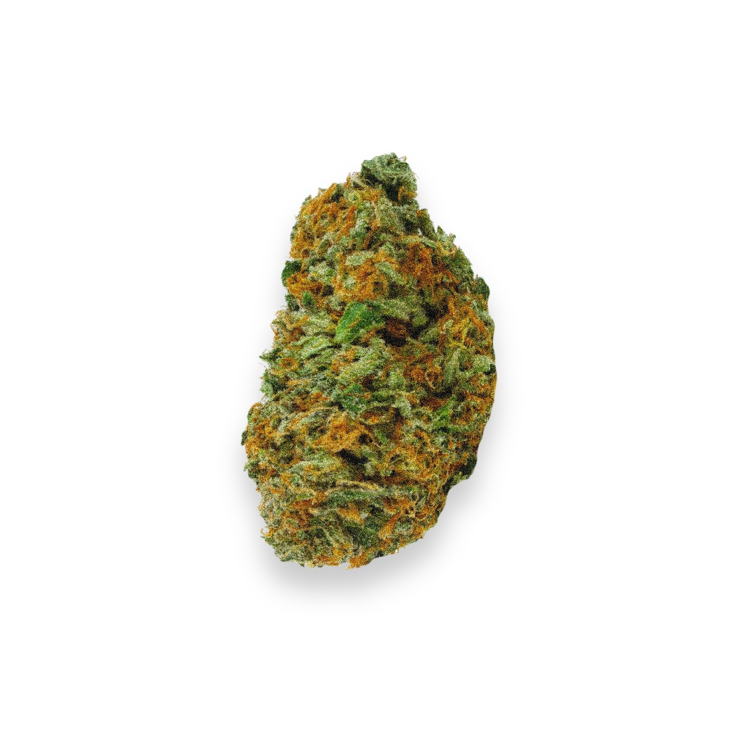 Featured image for “Ogre Strain”