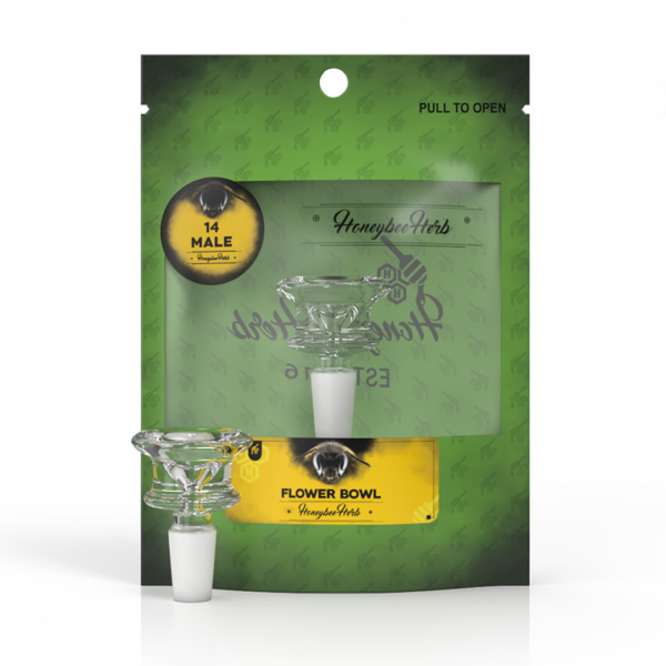 OiicqSHAnsM1342tWfAFmsJtiWaML09ZRr1ZE6q6