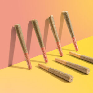 Plain-Jane-Cherry-Creme-Brulee-pre-rolls-group-shot-pre-rolls-leaning-on-wall-colorful-background___06569__35713.1736186055