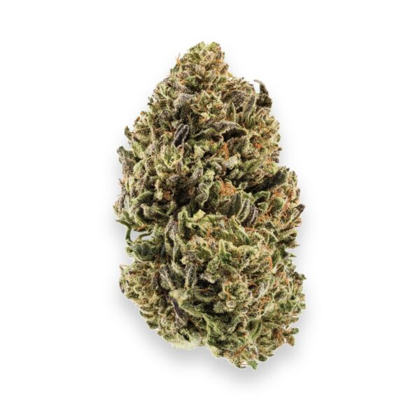 Plain Jane Suver Haze Hemp Flower
