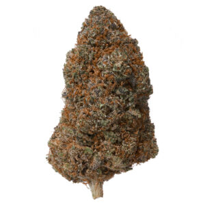 Plain Jane Mango Fire Indoor CBD Flower 1 Plain Jane Mango Fire flower 78209.1726310394