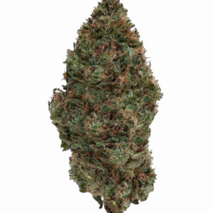 Raspberry Bear Claw picture 48728.1704917429