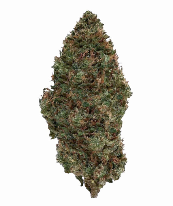 Raspberry_Bear_Claw_picture__48728.1704917429