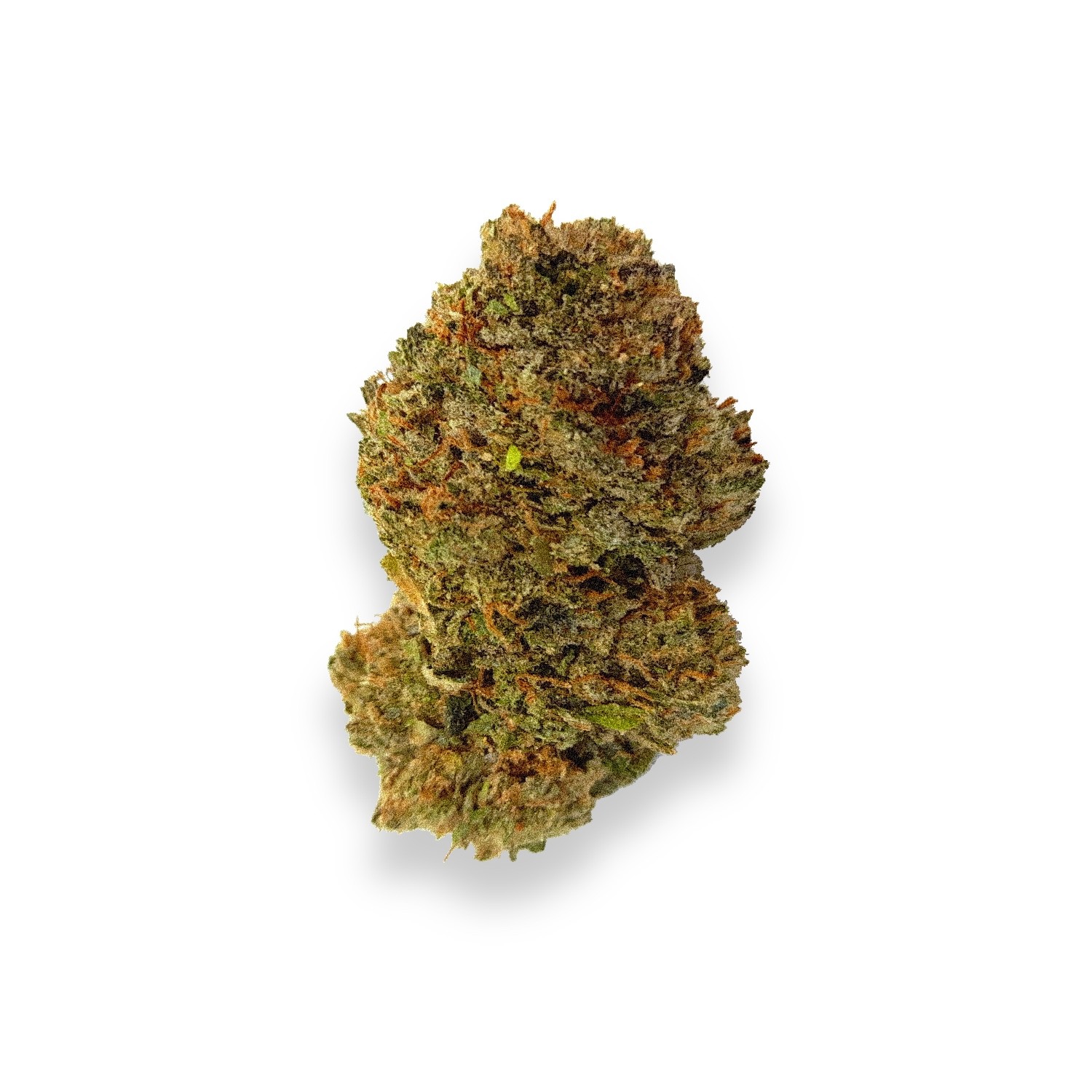 Featured image for “Royal Wedding Strain”