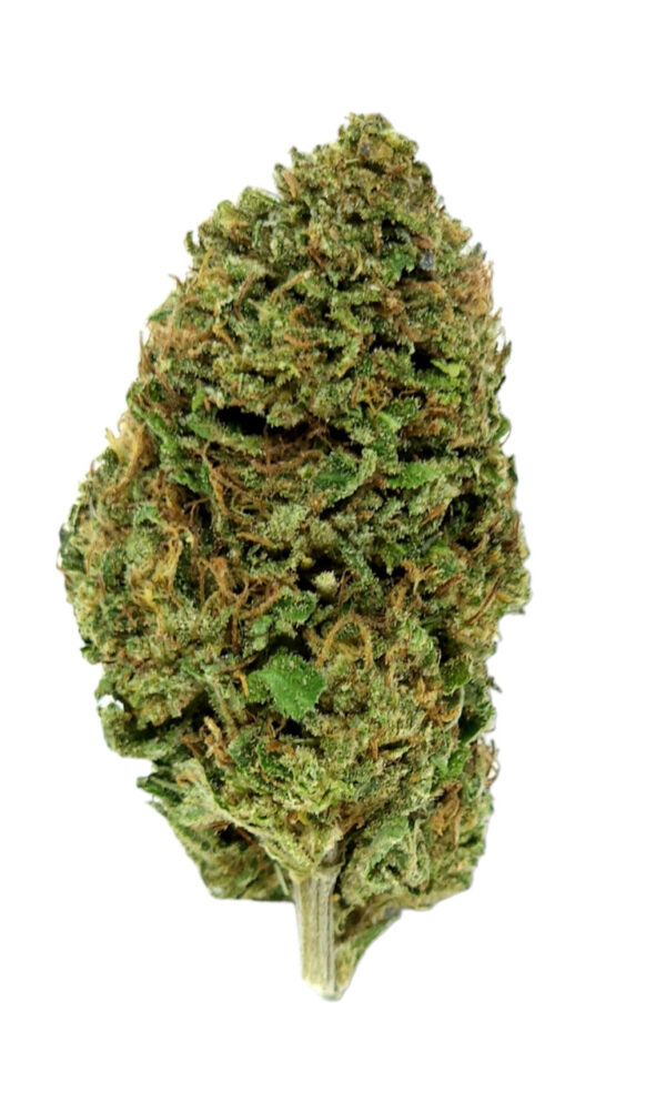 Royal_OG_pic__99215.1706635987