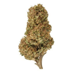 a bud of Delta 8 Sour Space Candy Hemp Flower