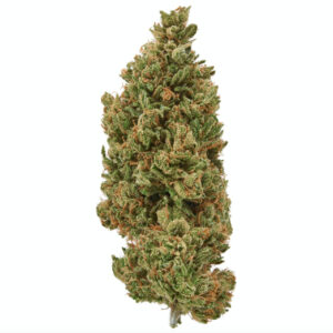 Plain Jane Sour Lifter CBD Flower 4 Screen Shot 2020 11 06 at 7.59.09 AM 46557.1604678379.1280.1280 44058.1705009374