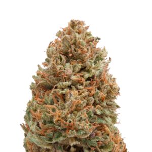 Sour-Hawaiian-Haze-Hemp-Flower