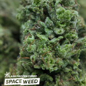 Rainbow Kush Flower Cannabis