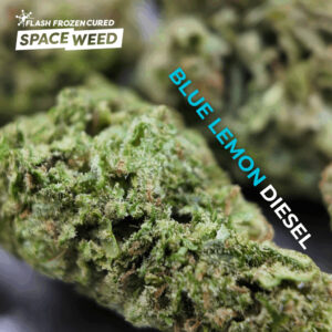 Blue Lemon Diesel Weed