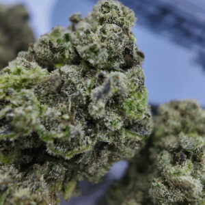 SpaceWeed Jelly Donut Flower