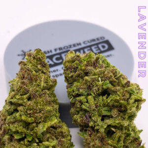 Lavender Flower Weed to Buy