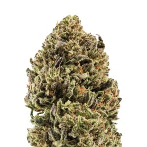 Plain Jane Suver Haze Hemp Flower