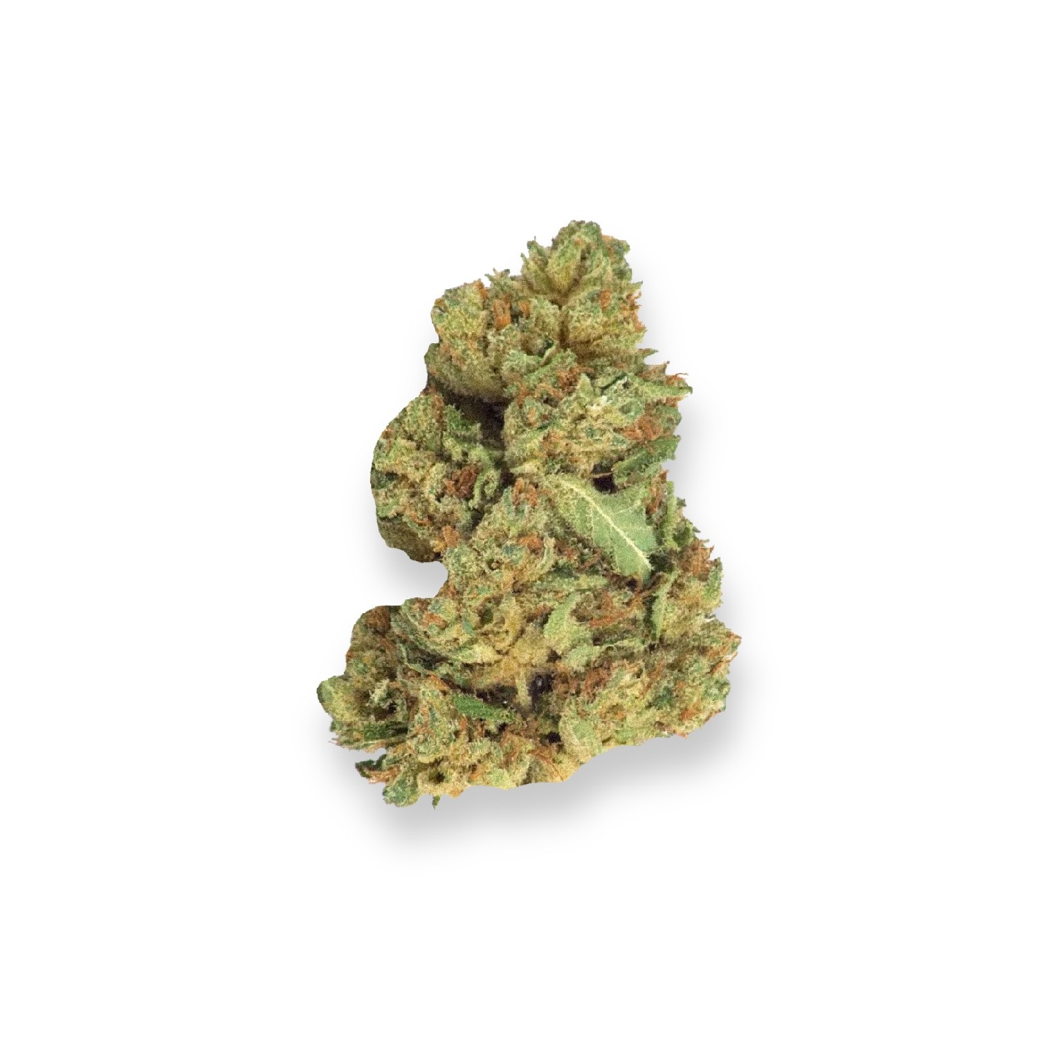 Featured image for “Sweet and Sour Widow Strain”