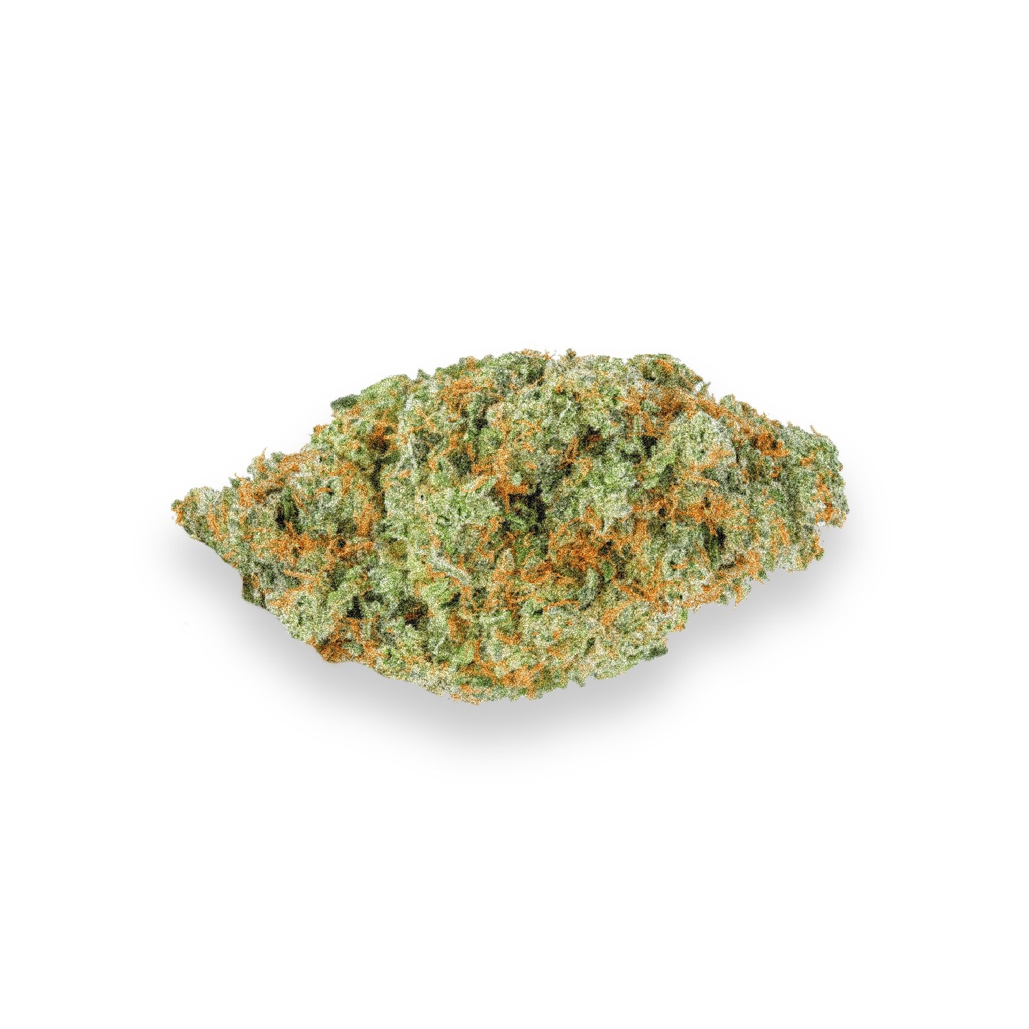 Featured image for “Timewreck Strain”