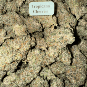 Tropicana-Cherries-HowToGetNearMe-BestPlace-LowestPrice-Coupon-Discount-For-Smoking-Best-High-Smoke-Shop-Online-Near-Me-StrongestBrand-BestBrand-Where-To-Buy-THC-THCA-D8-D9-Hemp-Bloomz