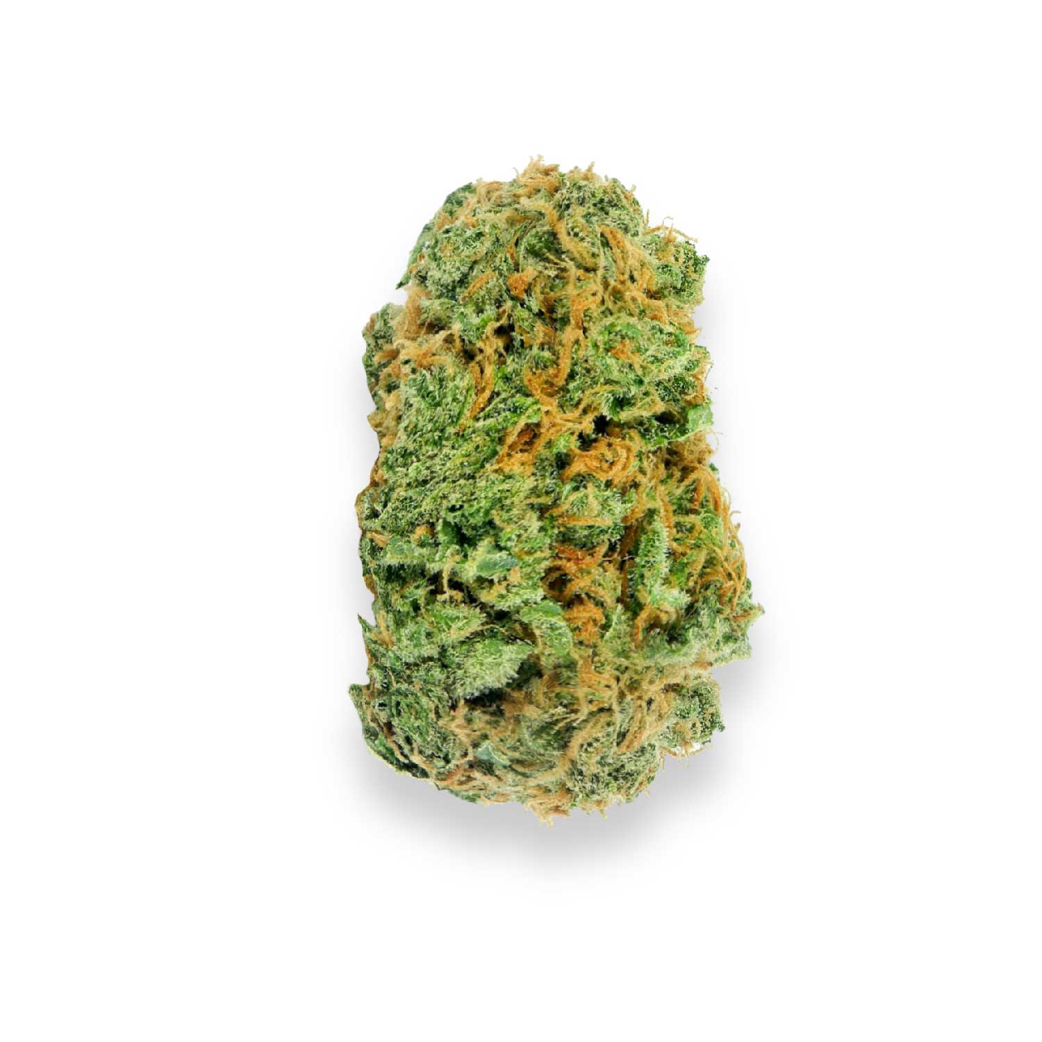 Featured image for “White Bastard Strain”