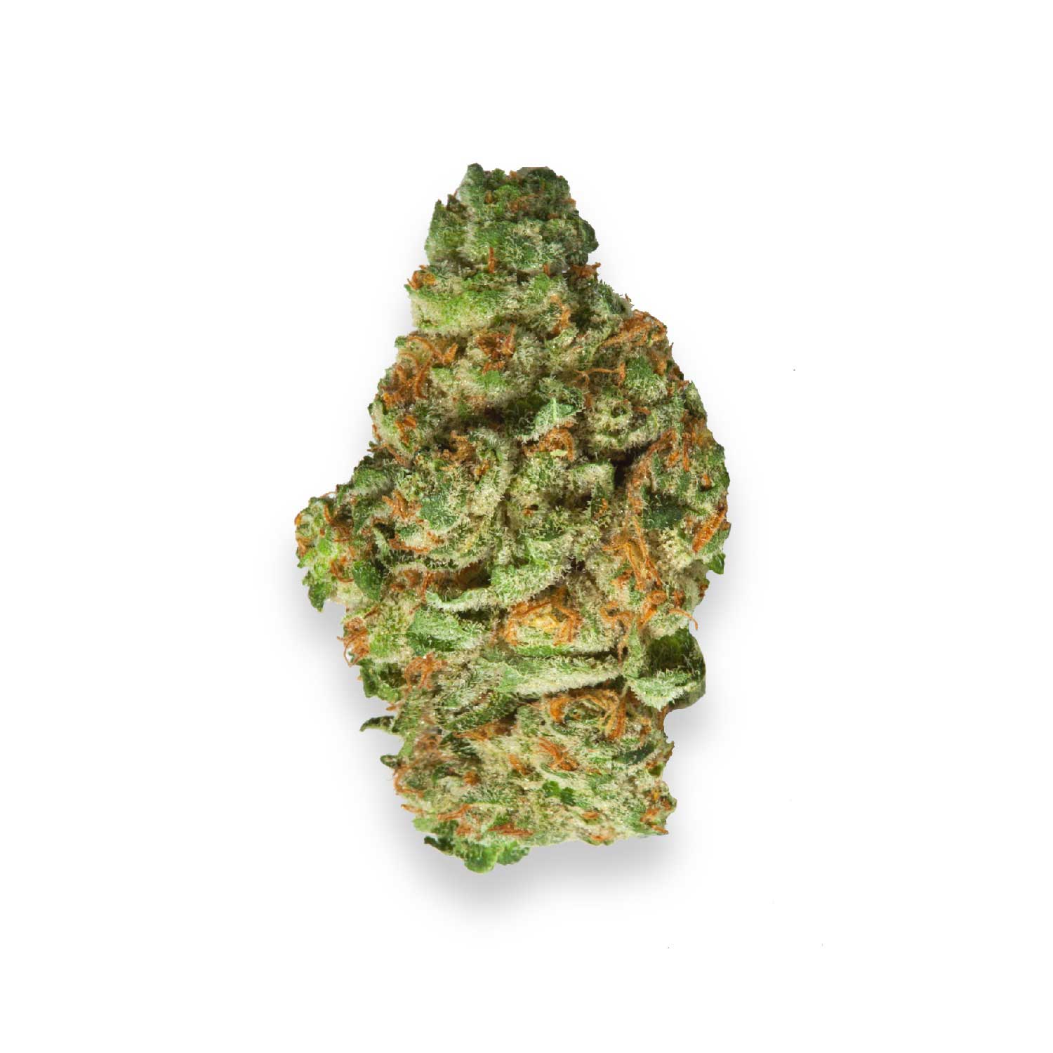 Featured image for “White Dawg Fire OG Strain”