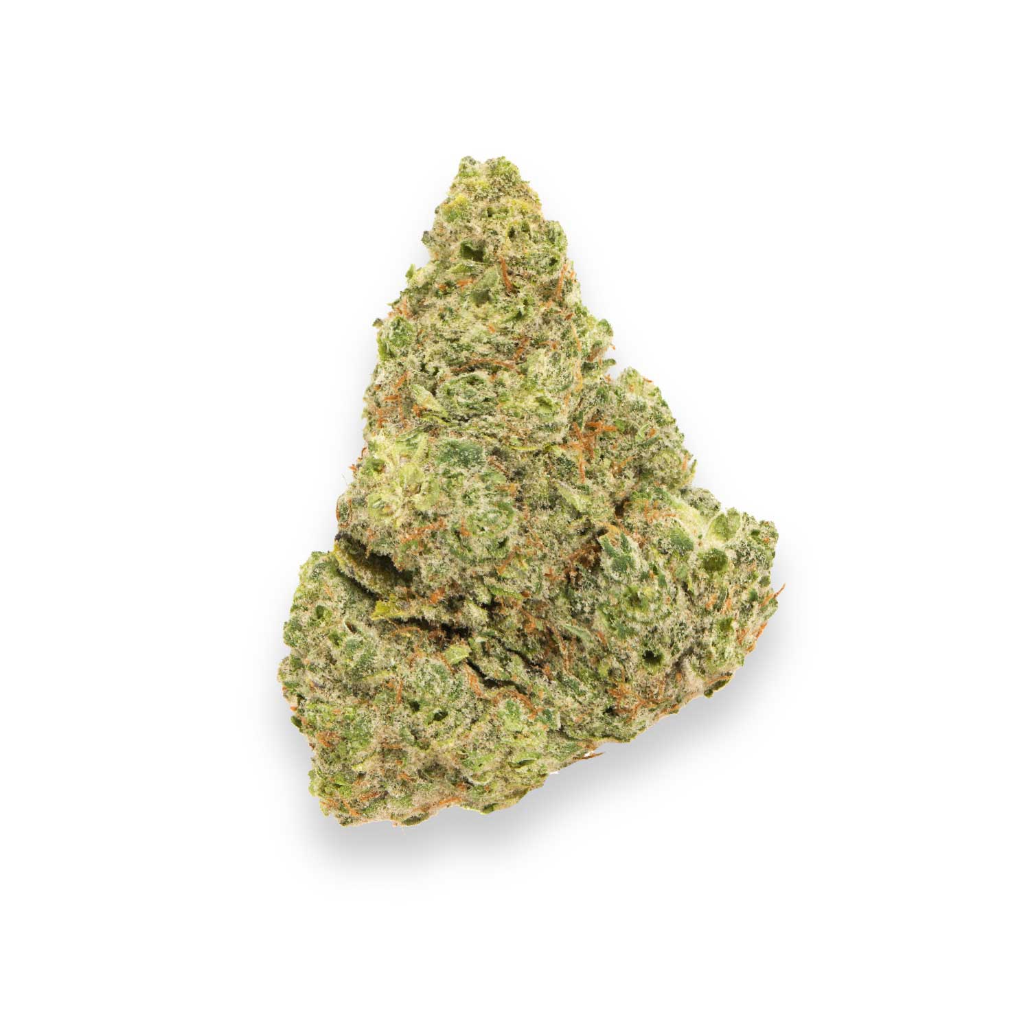 Featured image for “Wicked Lime Strain”