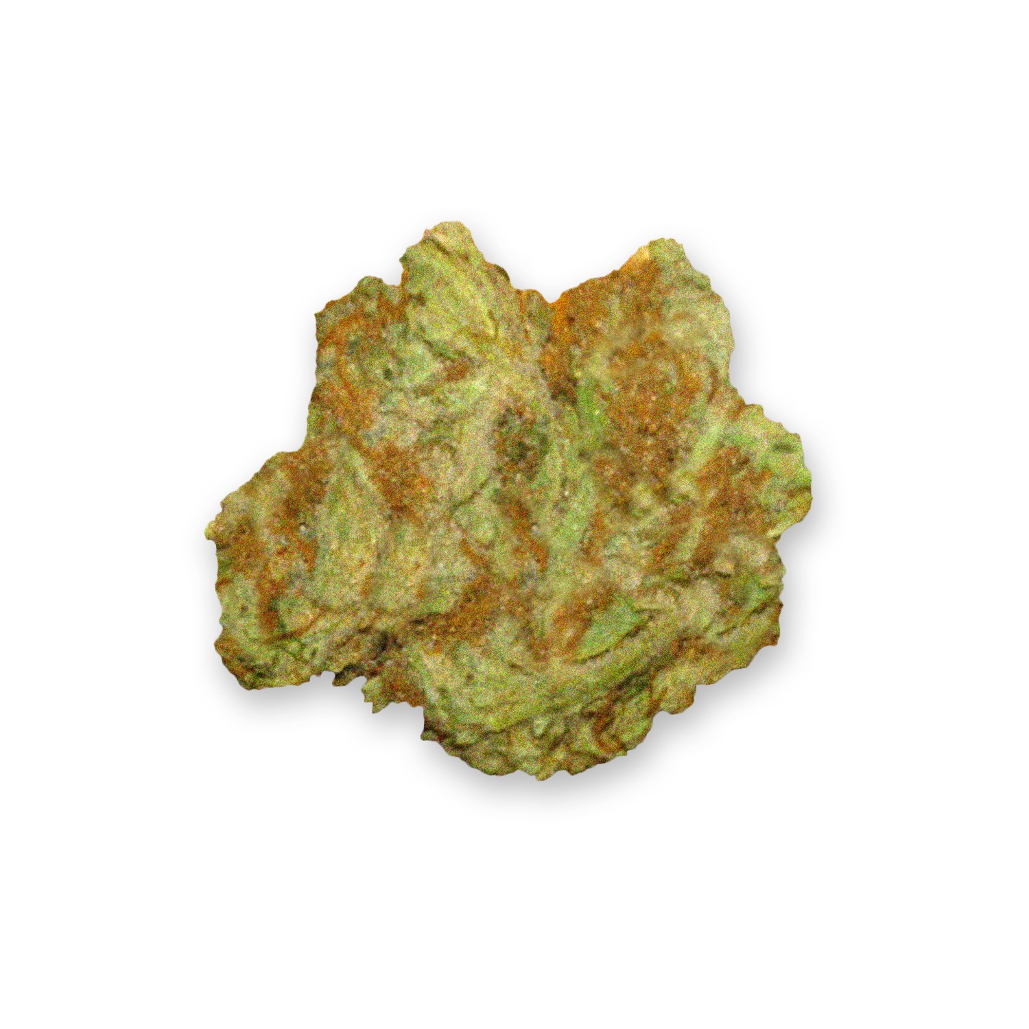 Featured image for “Afghan Haze Strain”