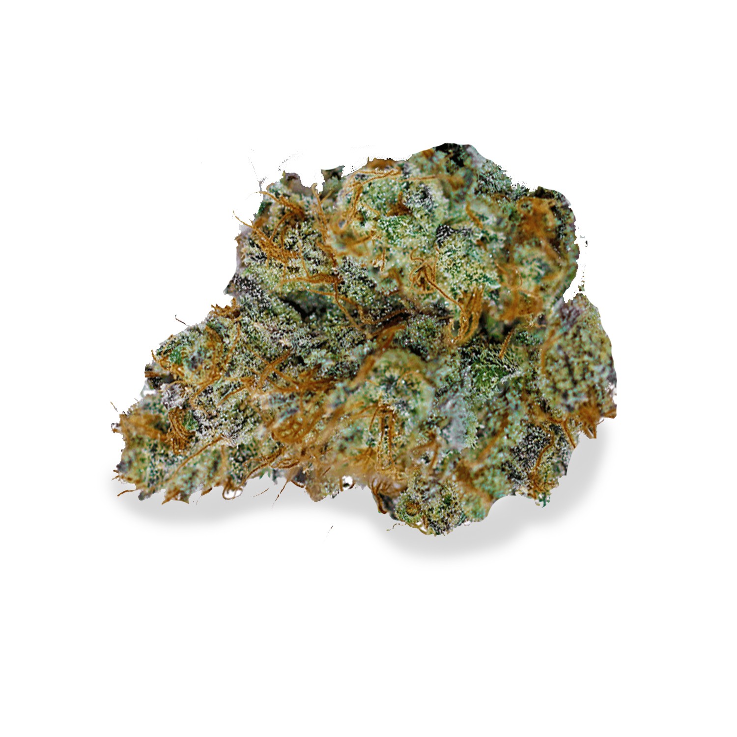 Featured image for “Alien Mints Strain”