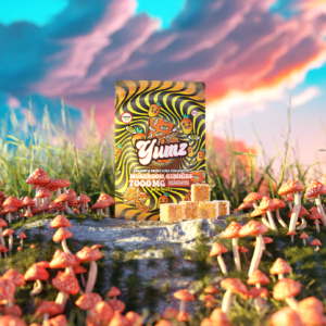 b8ce63f5-232c-4ffa-9557-0820e88e7b4a