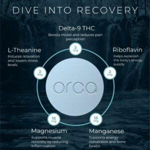 bc02e0f9-1819-4a5b-9ff4-0ce40cbe3720