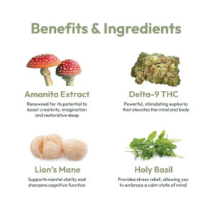 benefits-and-ingredients-thc-amanita