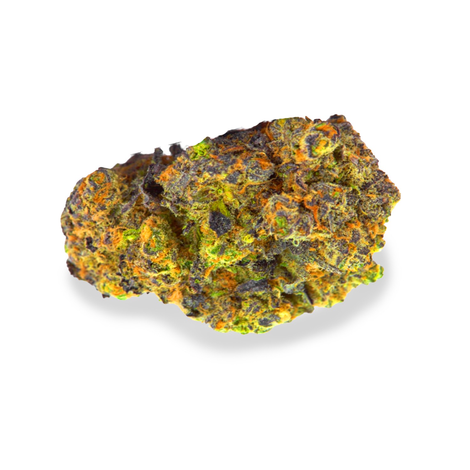 Featured image for “Black Lotus Strain”