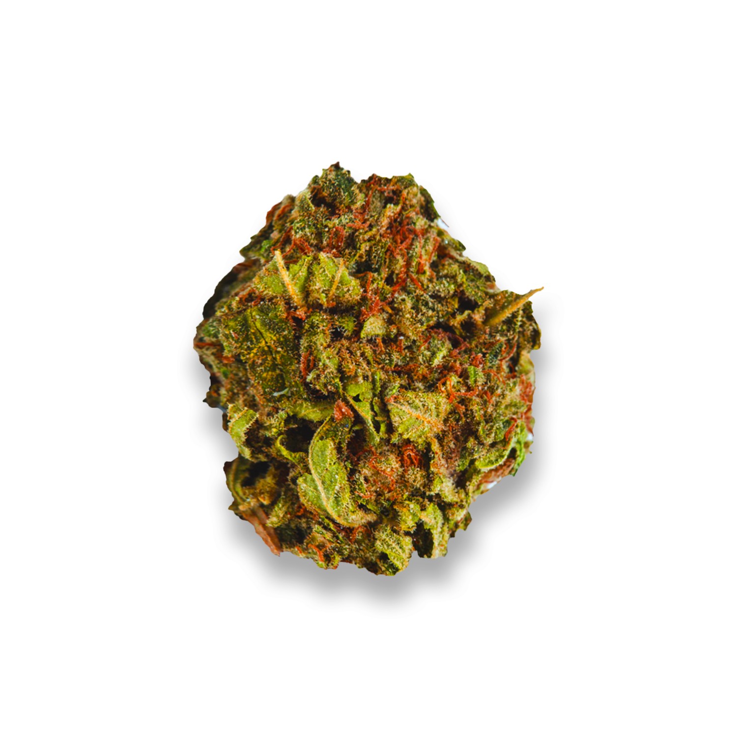 Featured image for “Blueberry Strain”