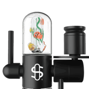 c68958b7-f308-42cb-bb99-b1c48c019357