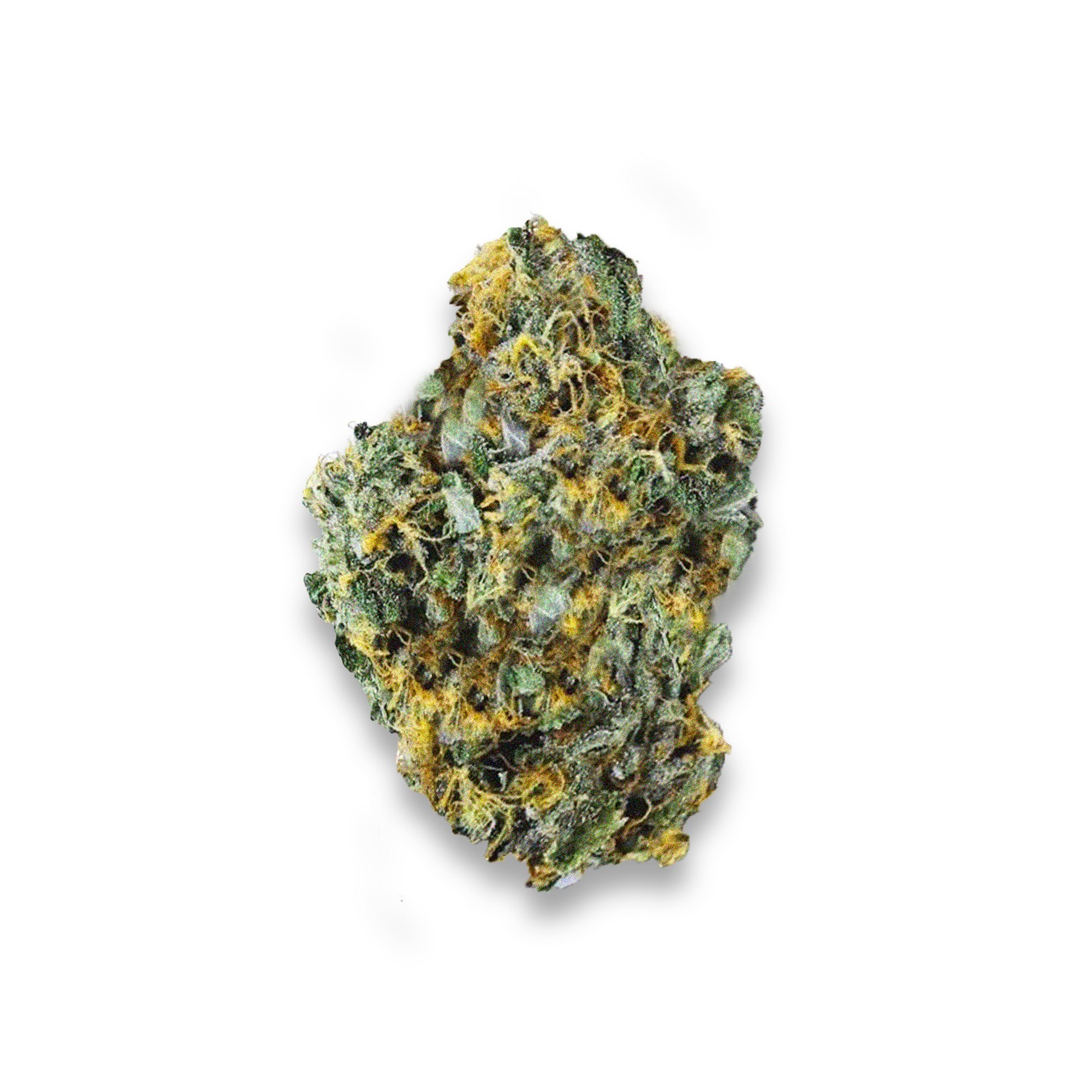 Featured image for “Cali Gas Strain”