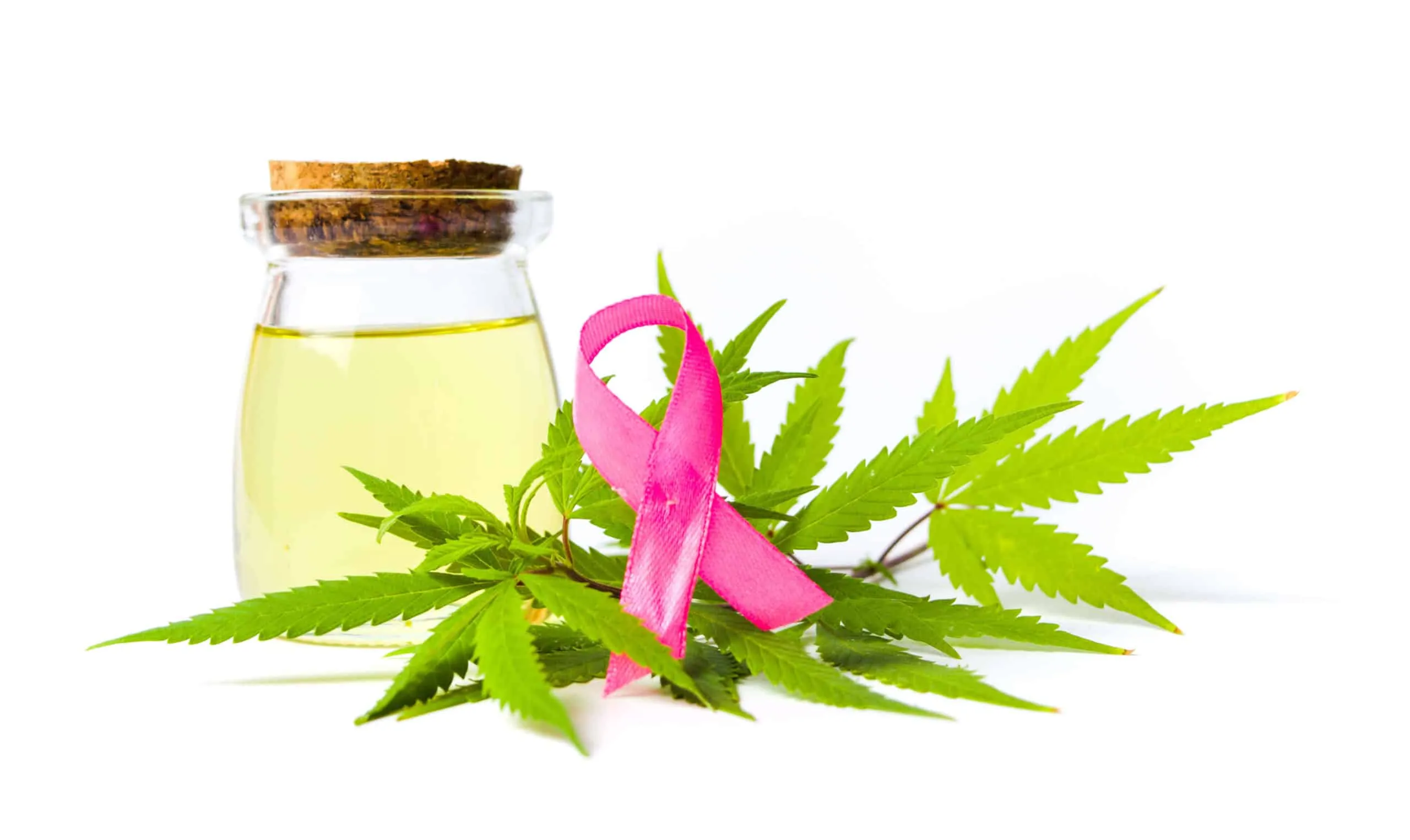 Featured image for “THCA and Cancer: Current Research and Findings”