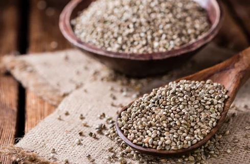 cannabis seeds journey