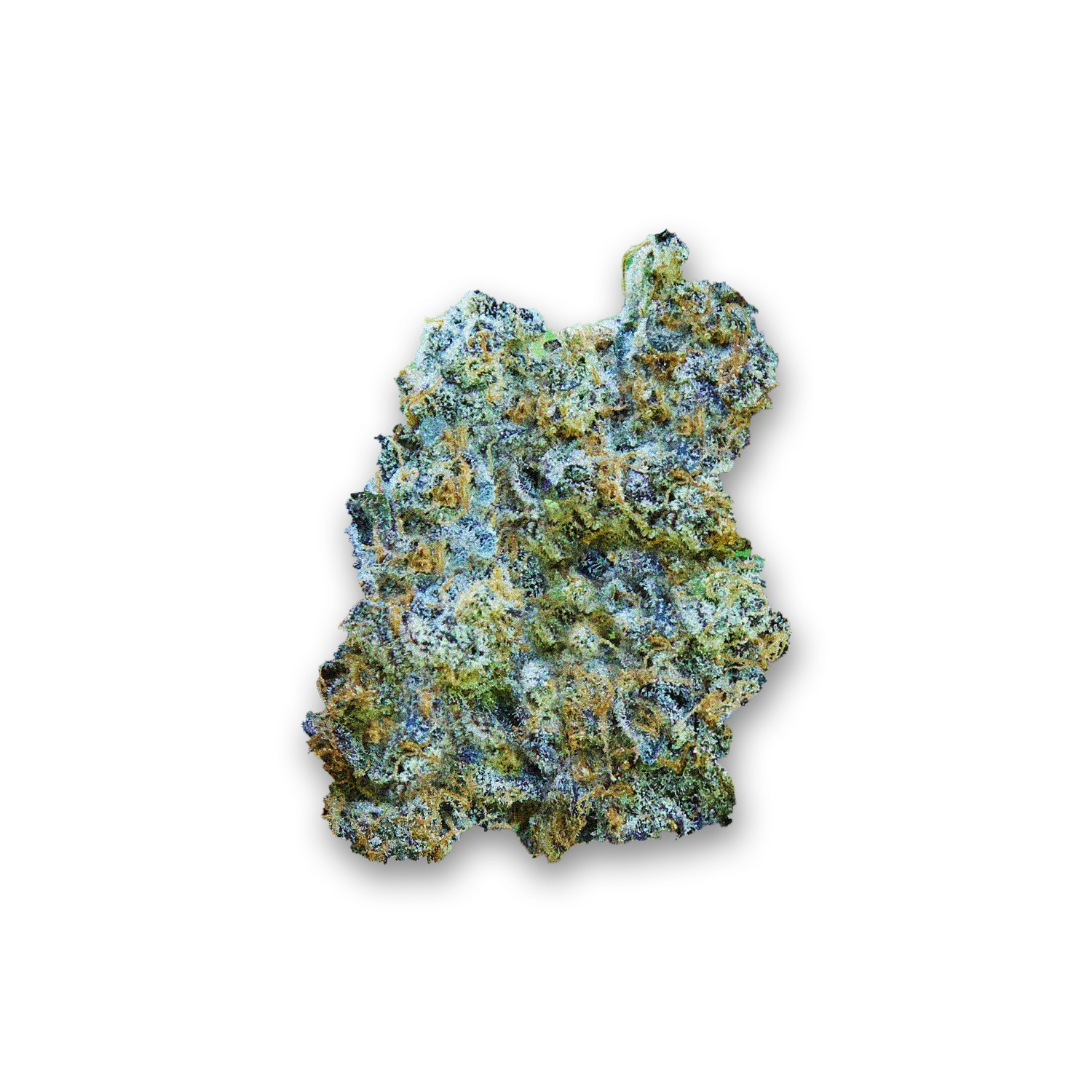 Featured image for “Carbon Fiber Strain”