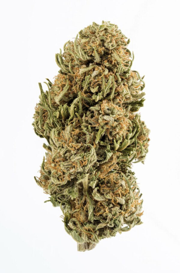 cbg__96716_1592418006_1280_1280__90771.1675668131