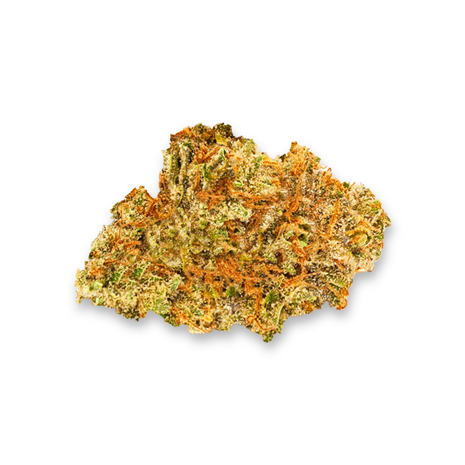 Featured image for “Chemnesia Strain”